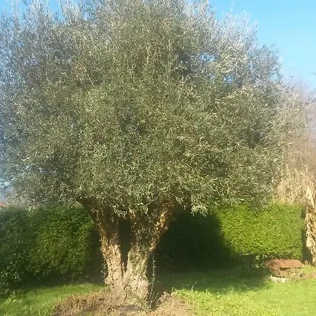 Ibarrondo Etxea Εξοχικό σπίτι